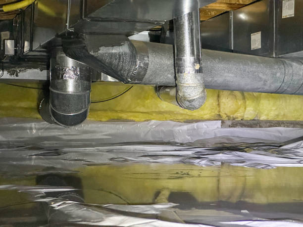 Best Sewage cleanup and water damage restoration  in Borden, IN