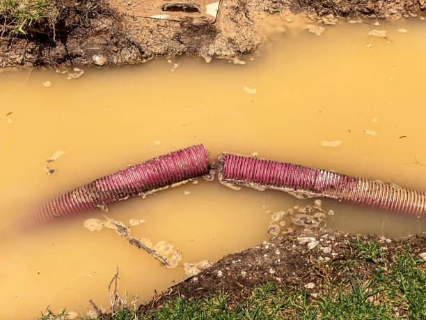 Best 24/7 water damage repair  in Borden, IN