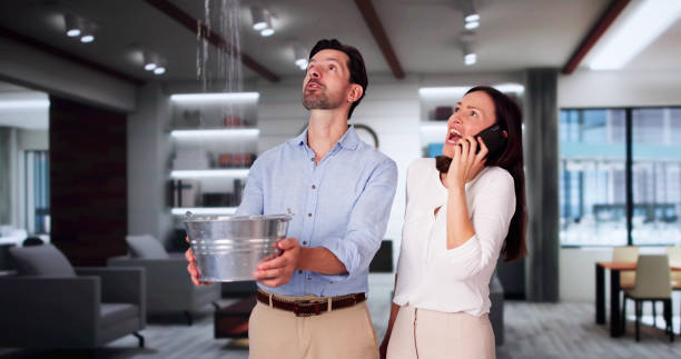 Best Mold removal after water damage  in Borden, IN