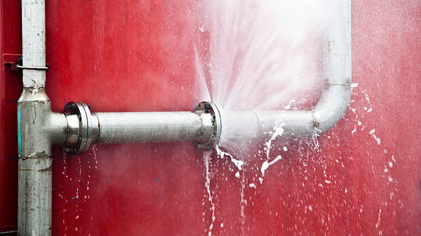 Best Water damage restoration cost  in Borden, IN