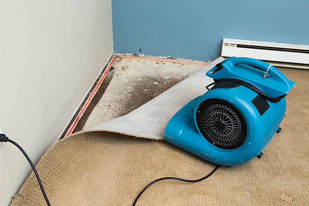 Best Water damage restoration near me  in Borden, IN